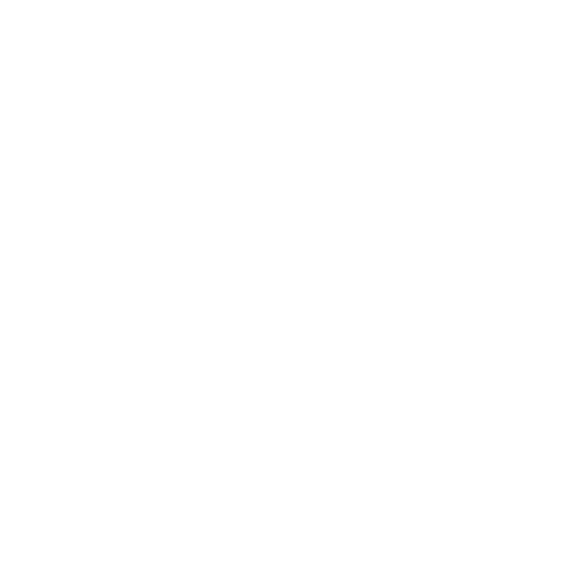 Villacoin Logo
